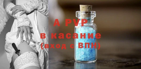 гидра Белокуриха