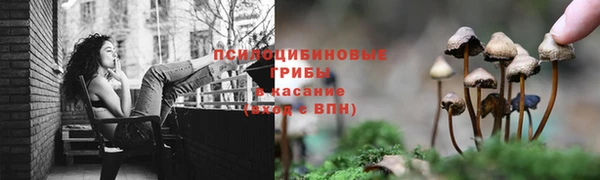 молекула духа Богородск