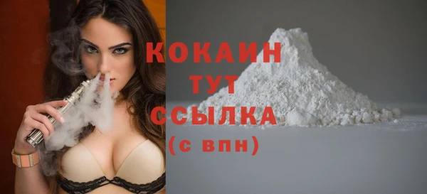 сатива Богородицк