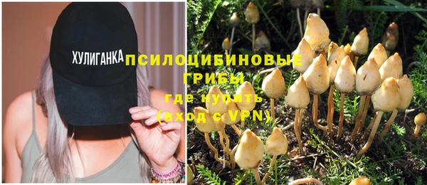 молекула духа Богородск