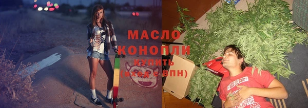 молекула духа Богородск
