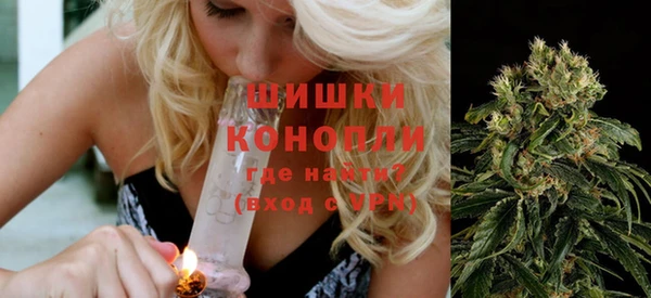 сатива Богородицк