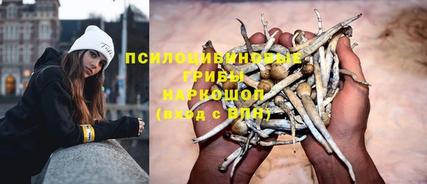 герыч Ростов