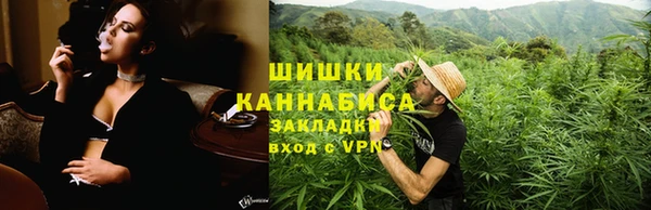 молекула духа Богородск