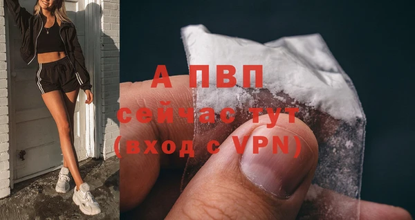 сатива Богородицк