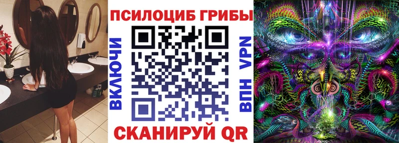 где купить наркоту  Югорск  Галлюциногенные грибы Cubensis 